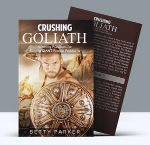 David Goliath Book
